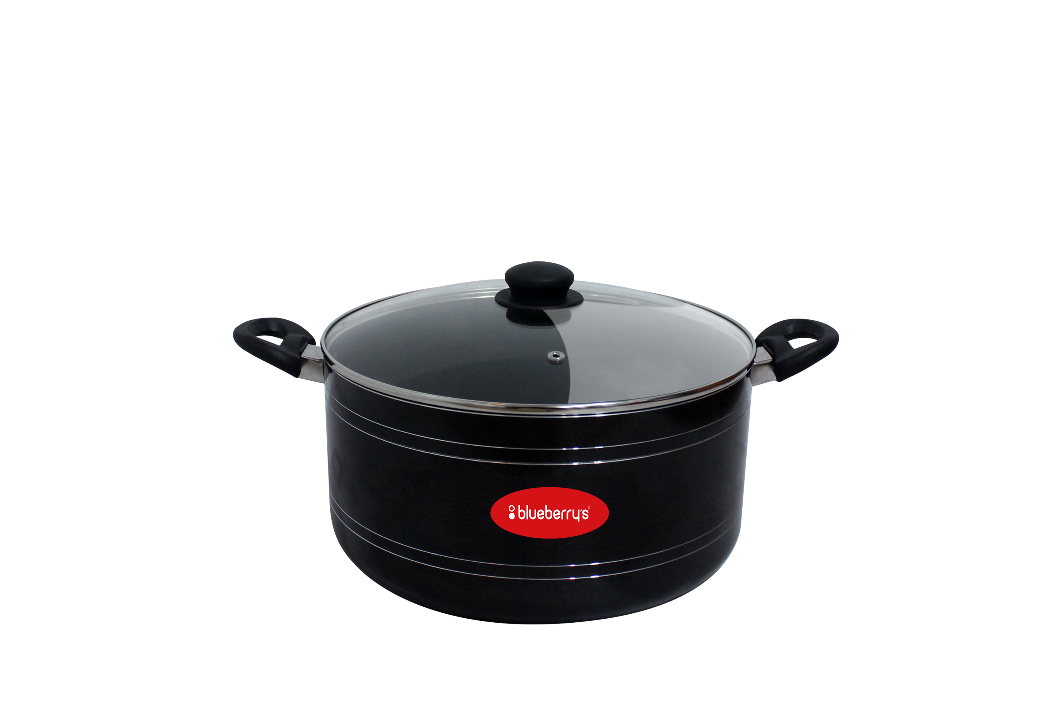 Blueberrys Biriyani pot 6L Grand6L (IB)