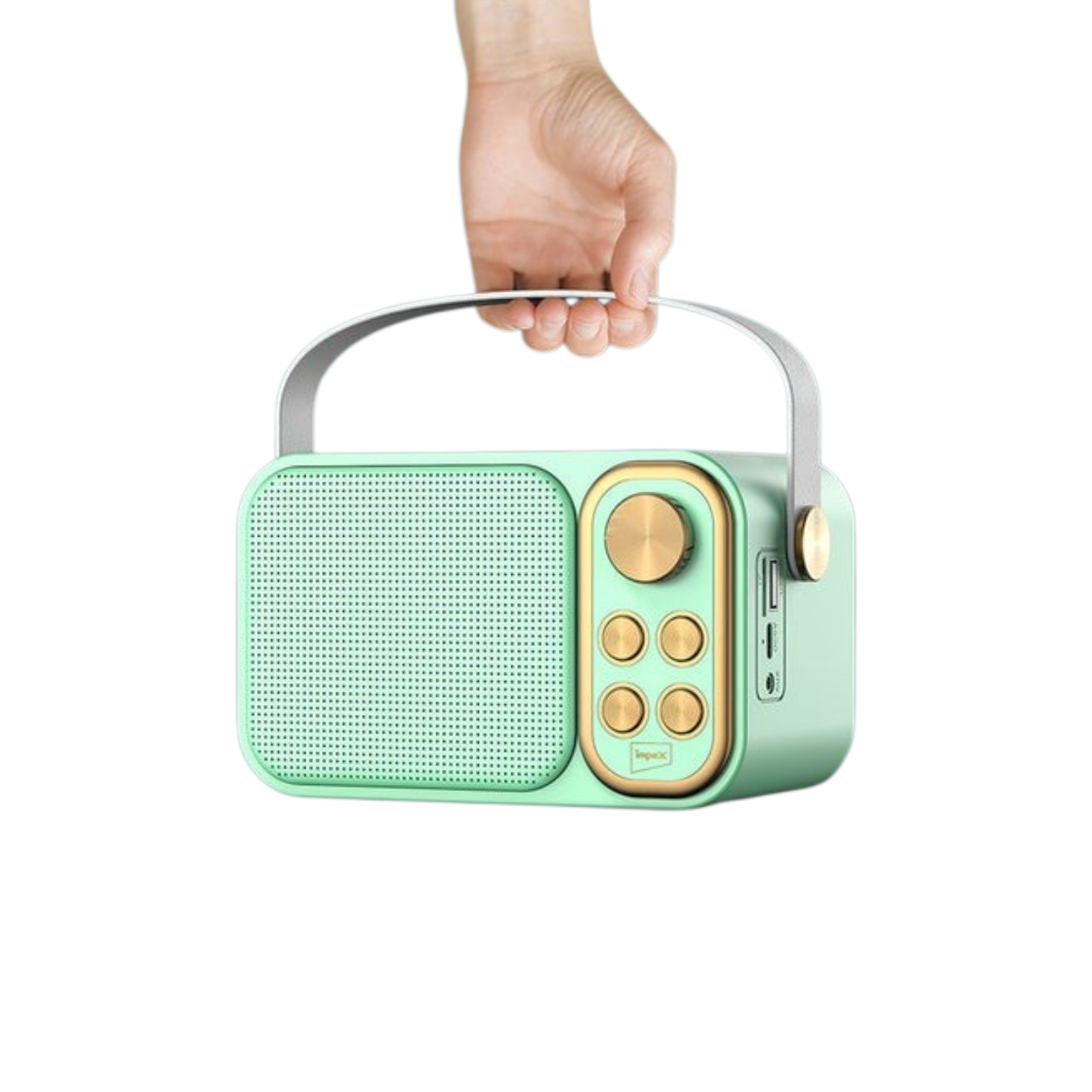 Impex Portable Bluetooth Karaoke Speaker - KM 1302