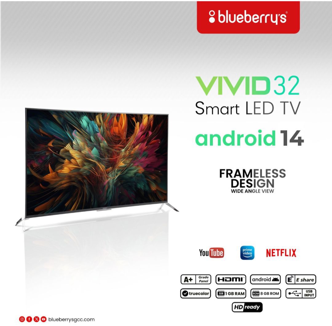 Blueberrys VIVID 32" TV