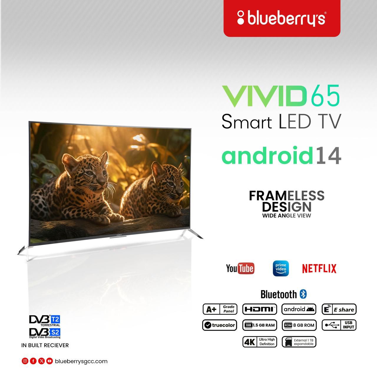 Blueberrys VIVID 65" TV