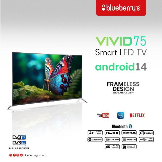 Blueberrys VIVID 75" TV