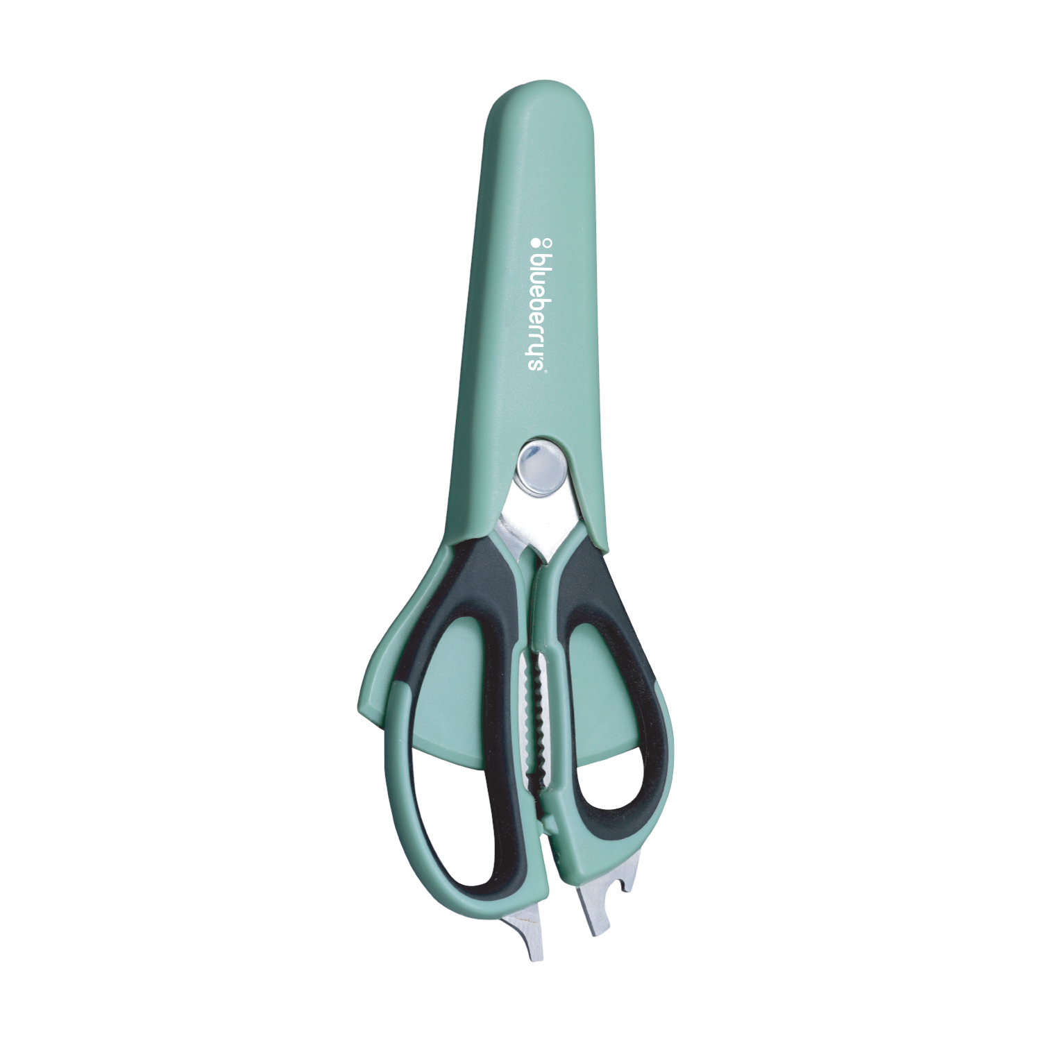 Blueberrys Refrigerator Scissors Lumo 81