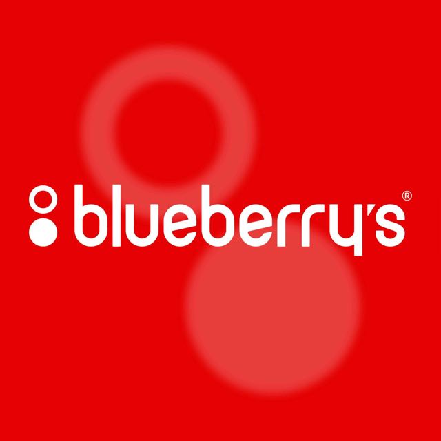 Festive Home Season – Blueberry's Multi-Brand Electronics & Home ...