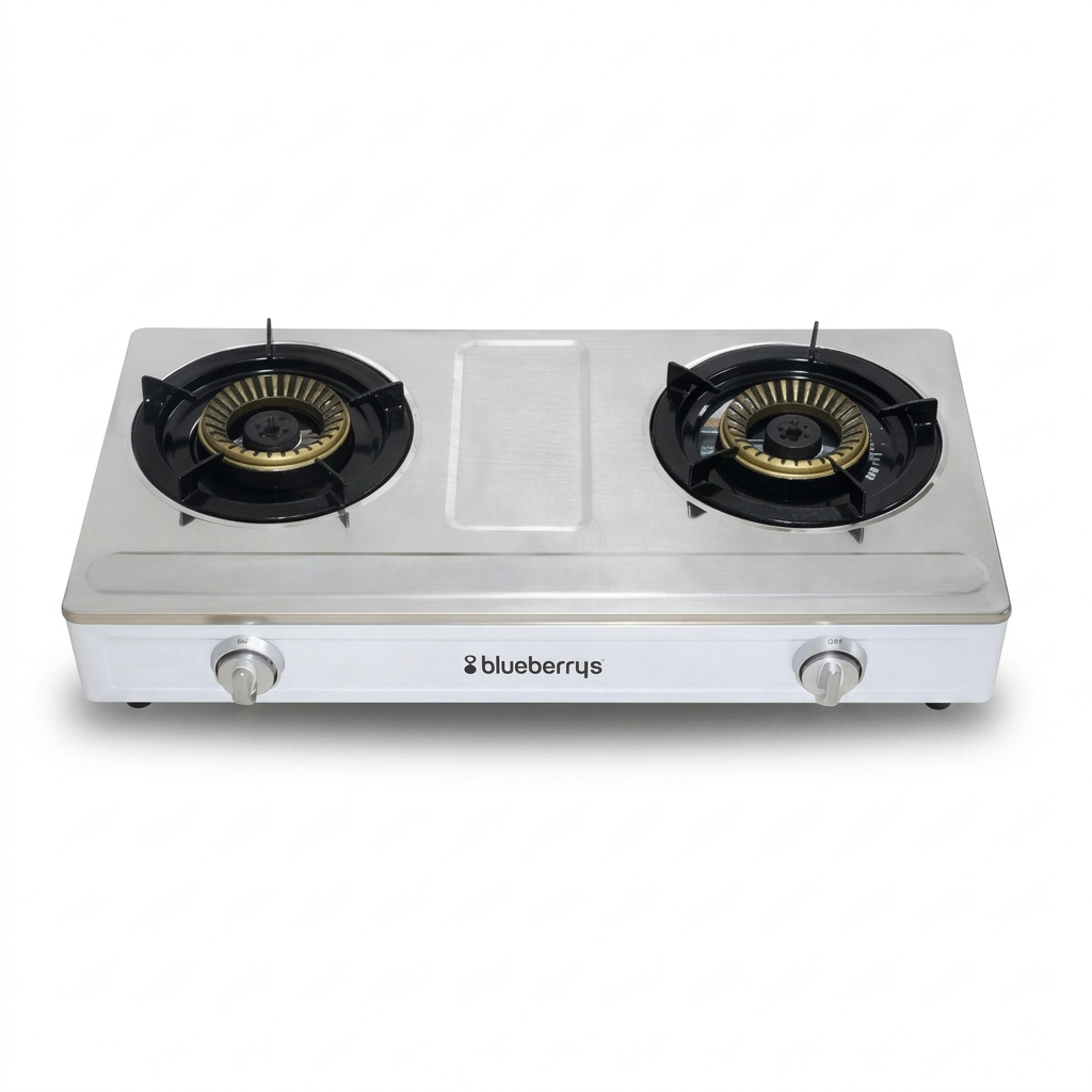 Blueberrys 2-Burner Stainless Steel Gas Stove - STASH 2082