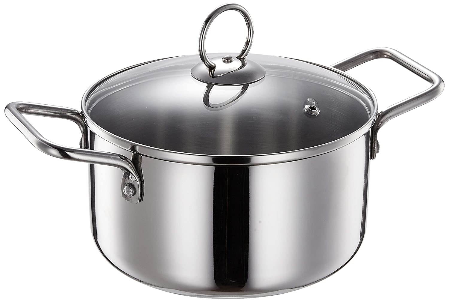 Blueberrys Stainless Steel Stock Pot with Glass Lid 22cm BSK 22 SS