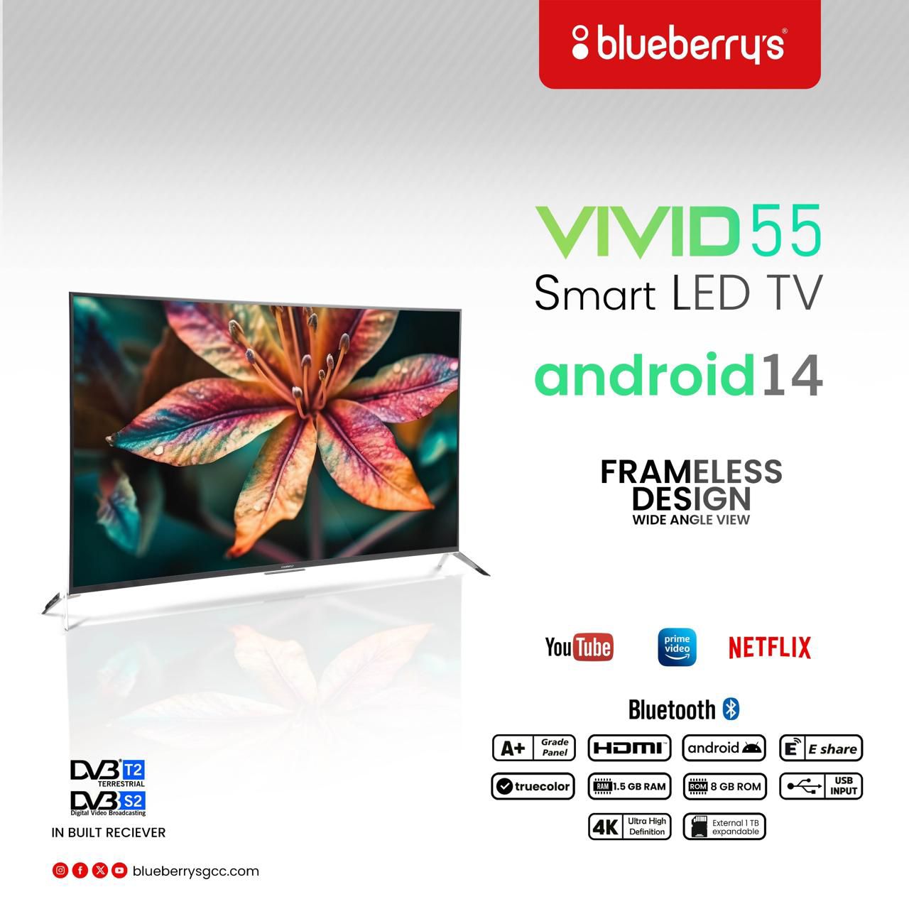 Blueberrys VIVID 55" TV