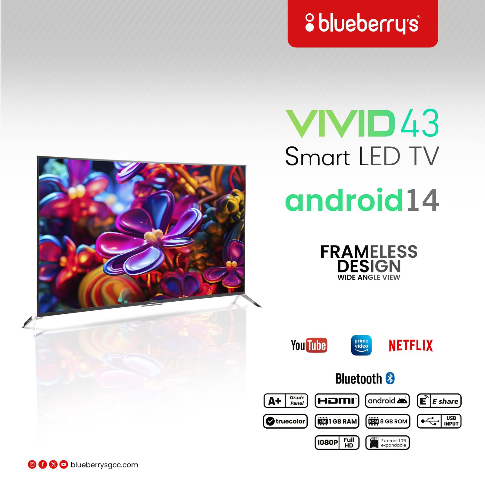 Blueberrys VIVID 43" TV